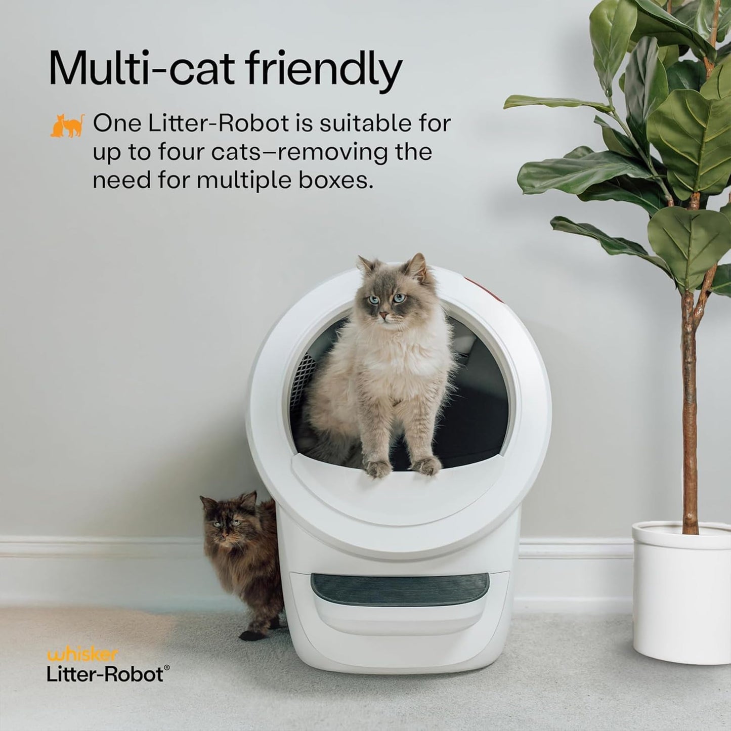 Litter Robot 4